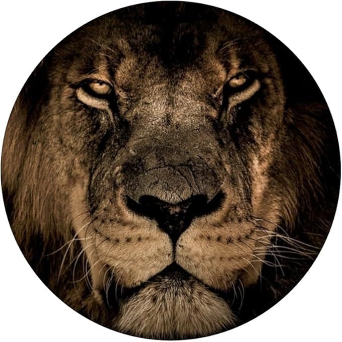 Real lion popsocket